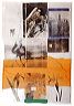 rauschenberg2